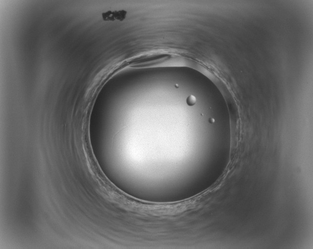 X0000081600001200701221148