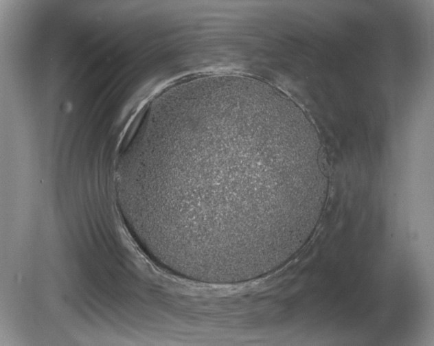 X0000081600002200701221148