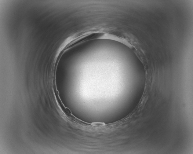 X0000081600003200701221148