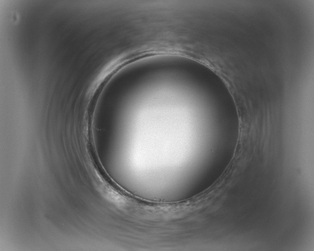 X0000081600005200701221148