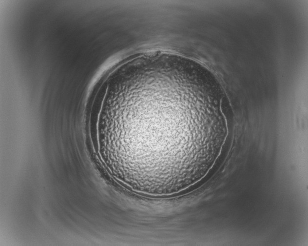 X0000081600006200701221148