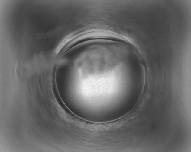 X0000081600007200701221148