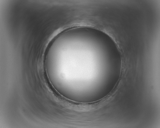 X0000081600008200701221148