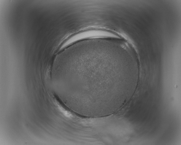 X0000081600009200701221148