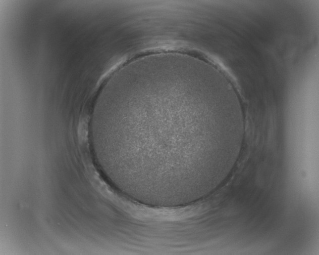 X0000081600010200701221148