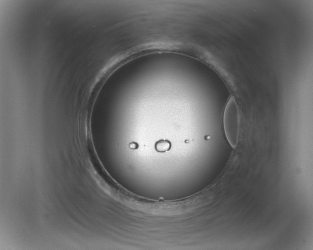 X0000081600011200701221148