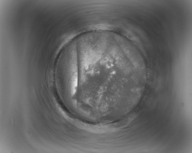 X0000081600012200701221148