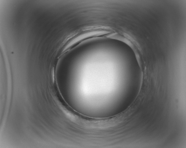 X0000081600013200701221148