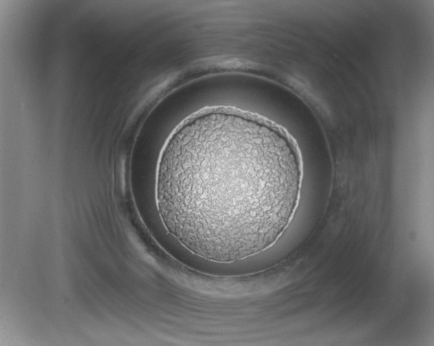 X0000081600014200701221148