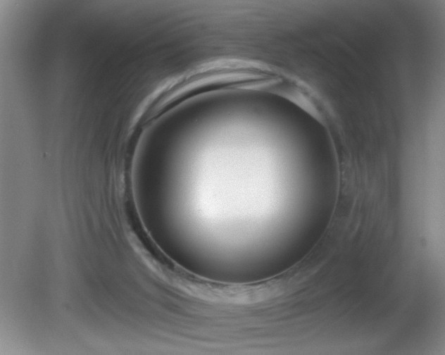 X0000081600015200701221148