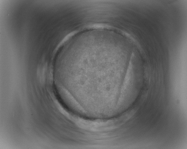 X0000081600016200701221148