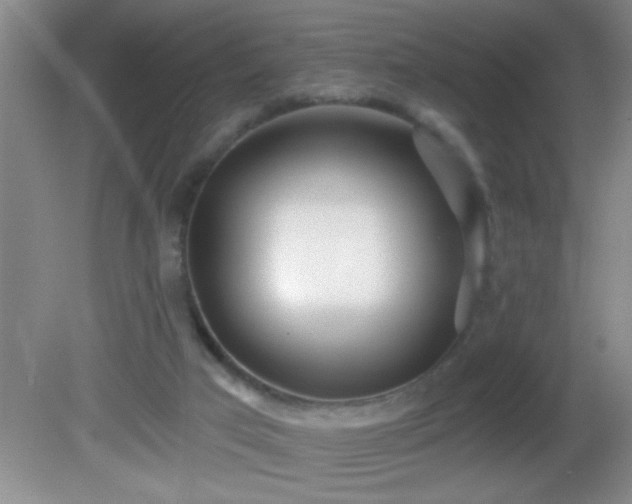 X0000081600017200701221148