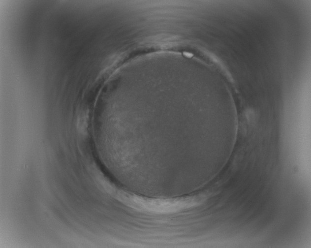 X0000081600018200701221148