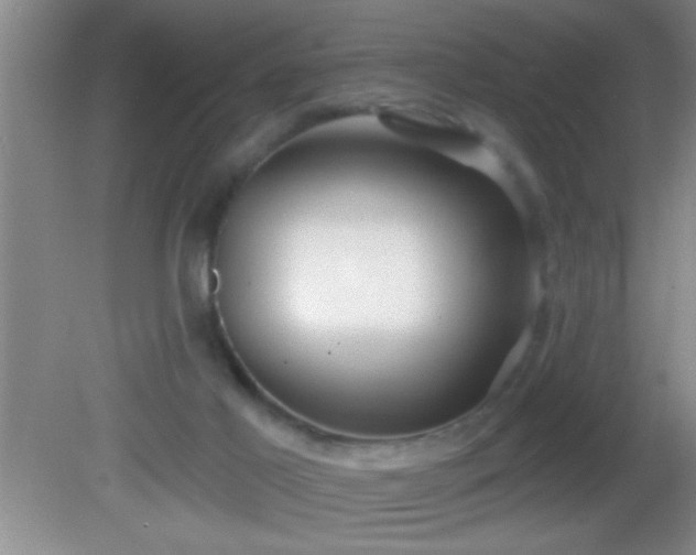 X0000081600021200701221148