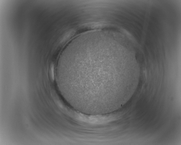 X0000081600022200701221148