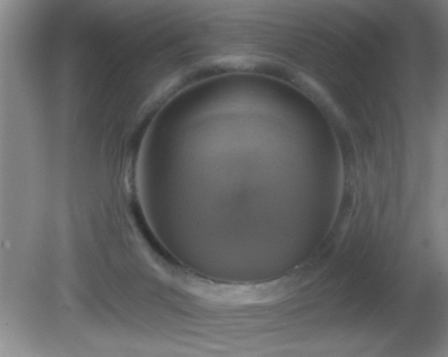 X0000081600023200701221148