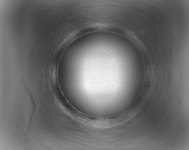 X0000081600024200701221148