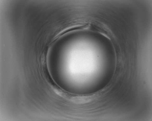 X0000081600025200701221148