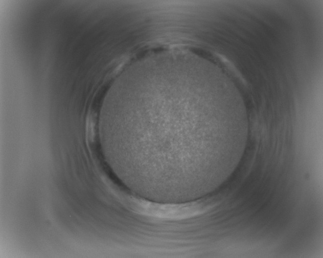 X0000081600026200701221148