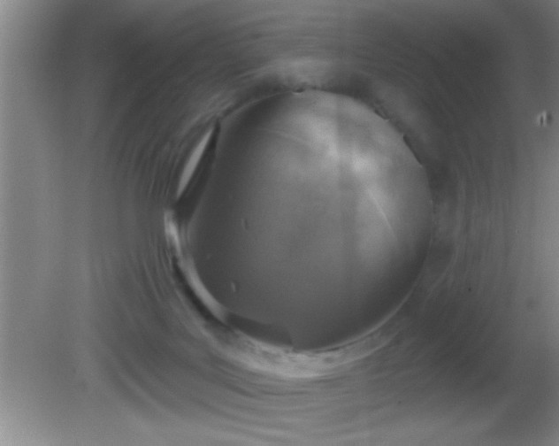 X0000081600027200701221148