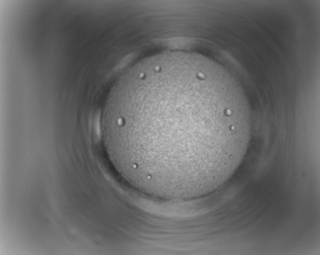 X0000081600028200701221148