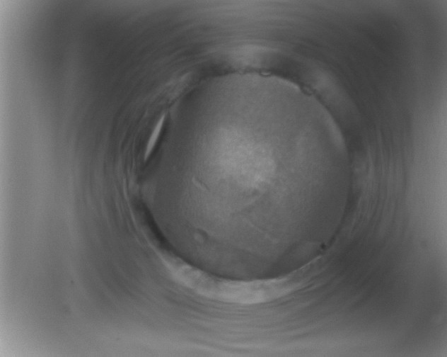 X0000081600029200701221148