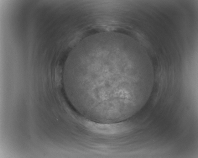 X0000081600030200701221148