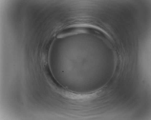 X0000081600031200701221148