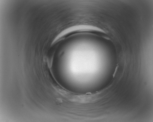 X0000081600033200701221148