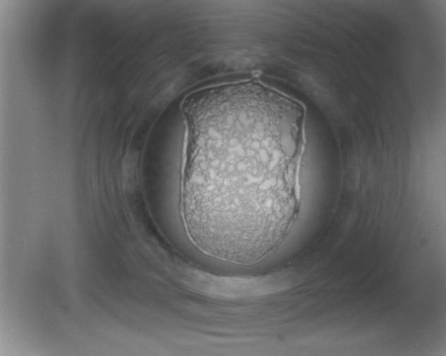 X0000081600034200701221148