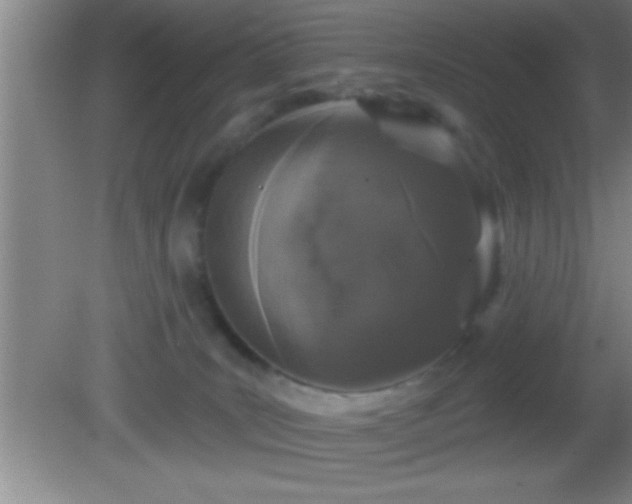 X0000081600035200701221148