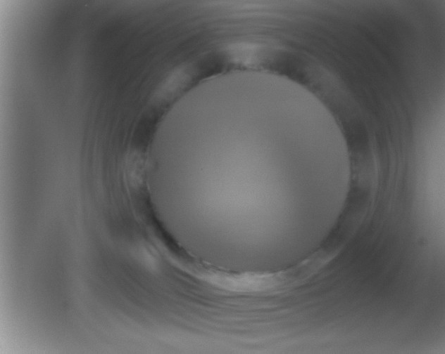 X0000081600036200701221148