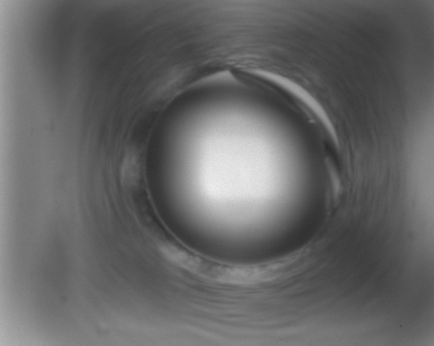 X0000081600037200701221148