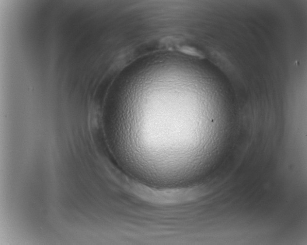 X0000081600038200701221148