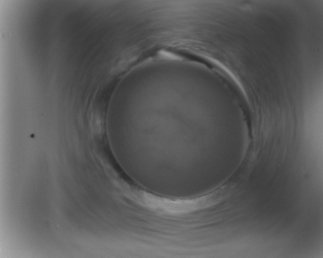 X0000081600039200701221148