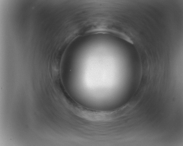 X0000081600040200701221148