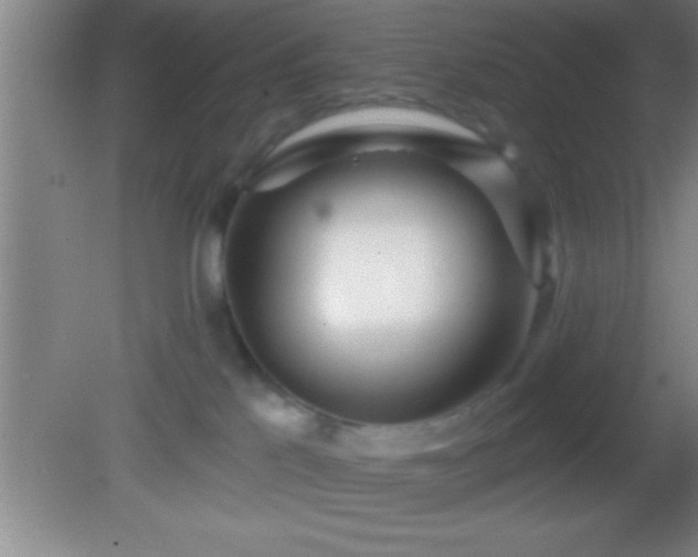 X0000081600041200701221148