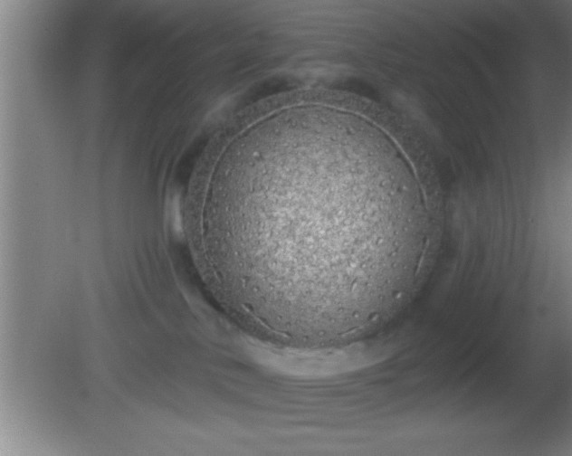 X0000081600042200701221148