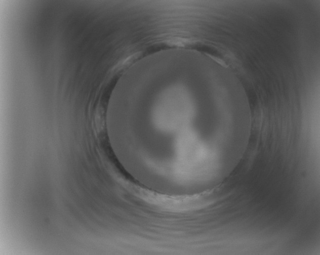 X0000081600043200701221148