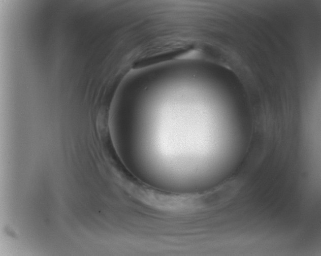 X0000081600044200701221148