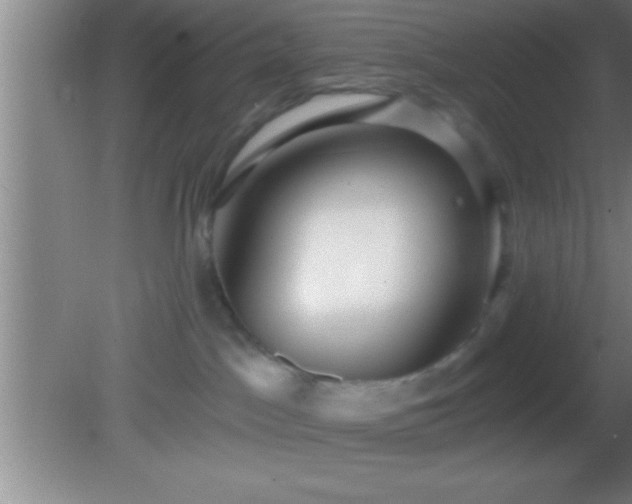 X0000081600045200701221148