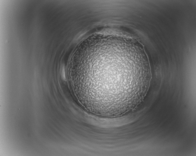 X0000081600046200701221148