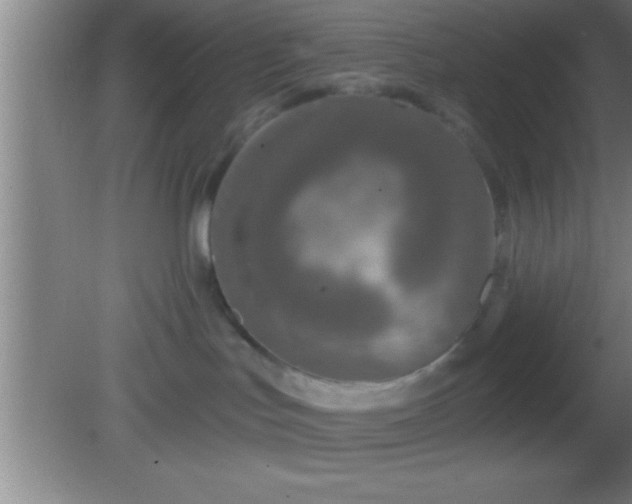 X0000081600047200701221148