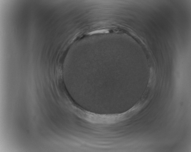 X0000081600048200701221148