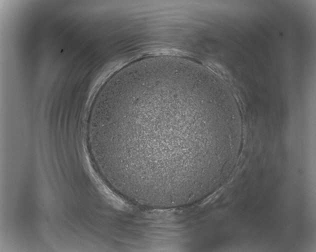 X0000081600049200701221147