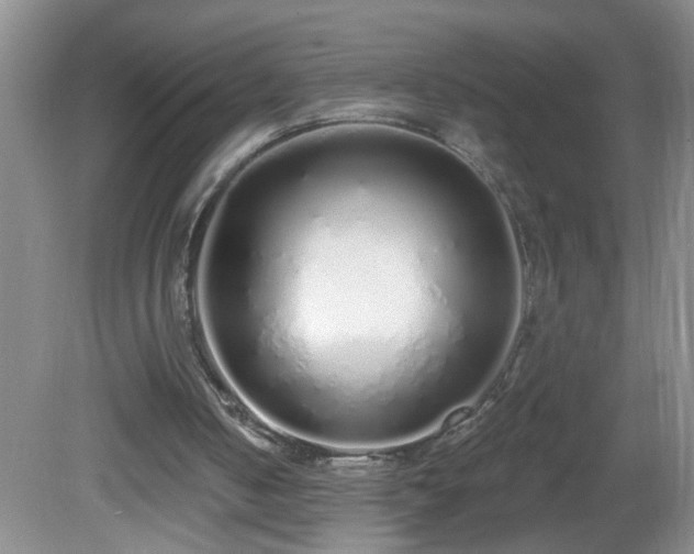 X0000081600050200701221147