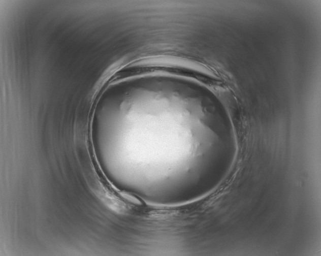 X0000081600051200701221147