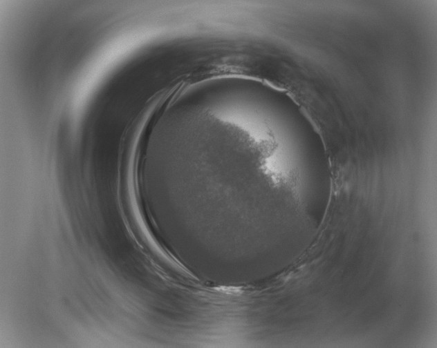 X0000081600052200701221147