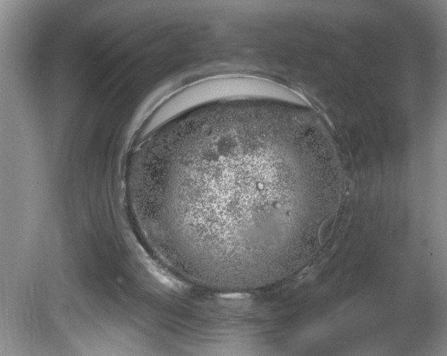 X0000081600053200701221147