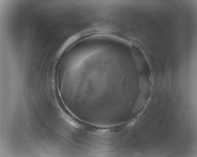 X0000081600054200701221147